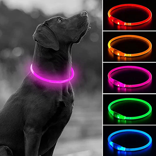 Collare LED USB per cani, luminoso e ricaricabile, ideale per passeggiate notturne. Collare lampeggiante di sicurezza per prevenire la perdita del cane, accessorio indispensabile per animali domestici.